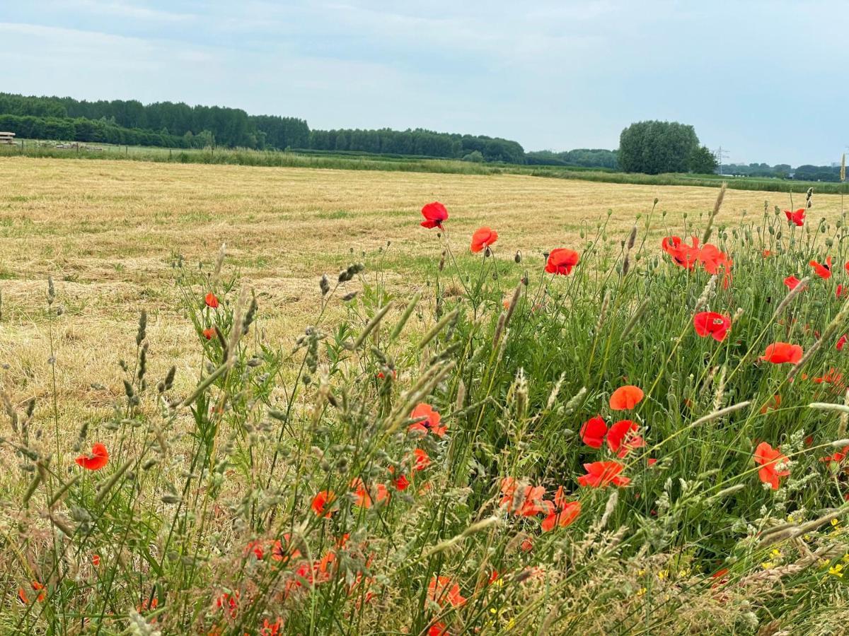 Camping De Vliert Bunnik Exteriér fotografie